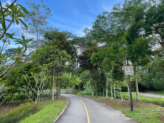 Park connector and greenery near Holland